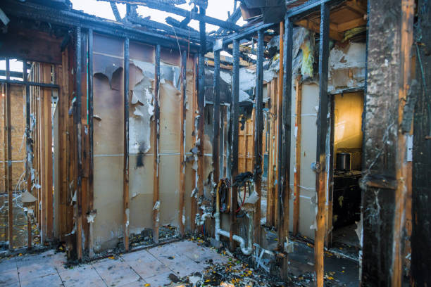 Professional Odor Removal technician working in Pease, MN