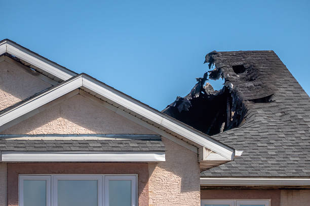 Top rated local Odor Removal specialists in Pease, MN